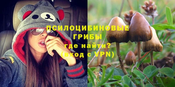 сатива Алзамай