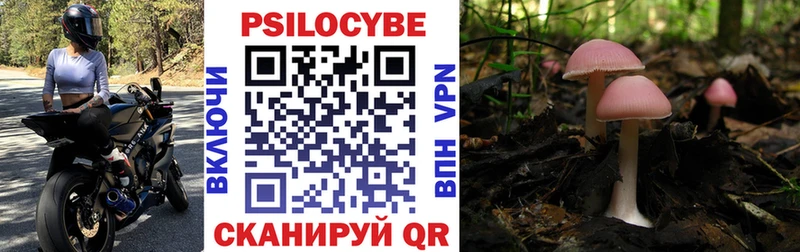 маркетплейс состав  Королёв  Галлюциногенные грибы прущие грибы  ссылка на мегу  